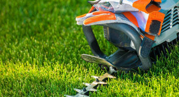 Lawn Care Tips for the Spring Season